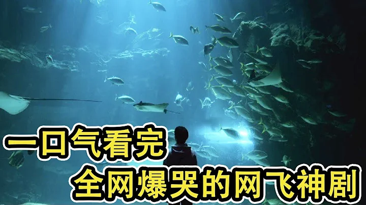 一口气看完全网爆哭的Netflix神剧，透过鲜为人知的特别工作，感叹人生百态，低泪点人群慎入！《我是遗物整理师》【光影】 - 天天要闻