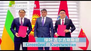 GREENLEAF — компания будущего.