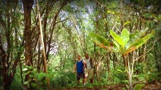 They Are Out There - The Zombie Fighters