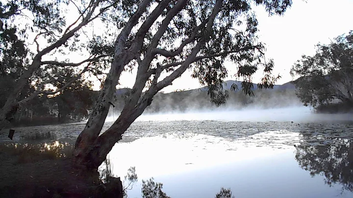 -3 deg collin's weir june 2018