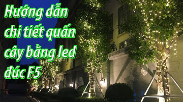 Hướng dẫn chi tiết quấn cây ngoài trời bằng Led đúc F5
