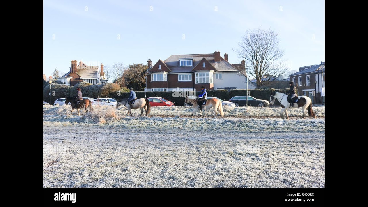 (4K) Wimbledon common | Wimbledon village | SW19 | London walking tour