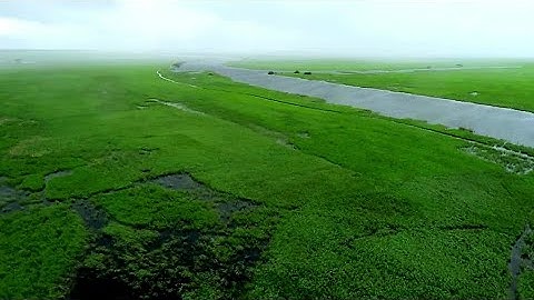 SEWA AND WANJE OVERFLOWING THEIR BANKS INTO RICE FIELDS #TormabumGbondapi