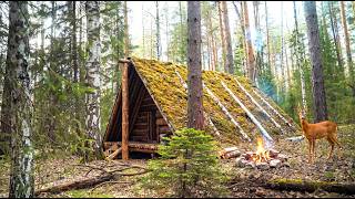 Survive a cold night in an old triangular cabin in the wild Siberian forest
