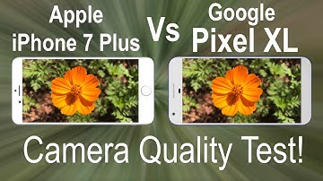 iPhone 7 Plus Vs Google Pixel XL Camera Test! Which Camera Is Better?