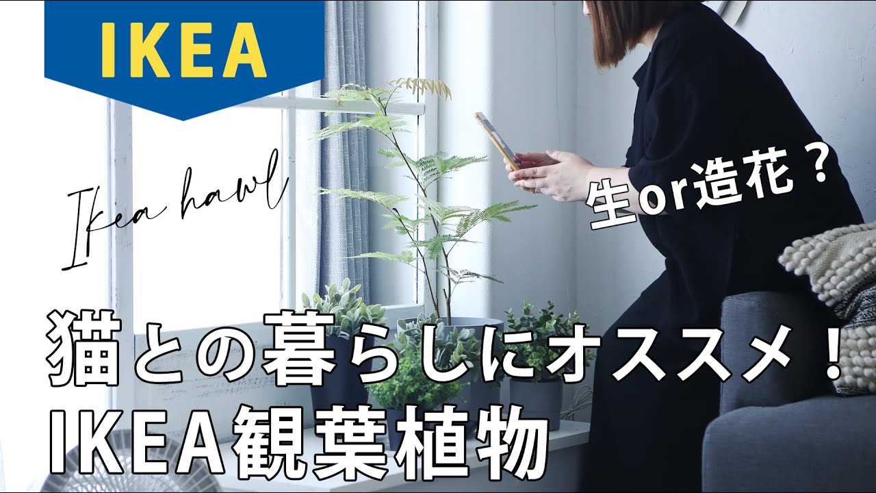 Ikeaオススメ オシャレ部屋にはインテリアグリーン観葉植物 Ikea Haul エバーフレッシュ フェイクグリーン おひとりさま一人暮らし フリーランス Youtube