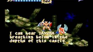 ActRaiser 2 secrets (correct passwords)