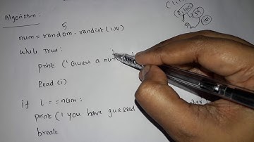 Guess an integer number in a range(python)