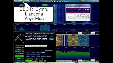 rds spy versus other leading brands