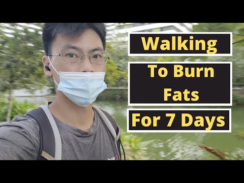 I-tried-Walking-Instead-of-Running-for-7-Days-to-Burn-fats!