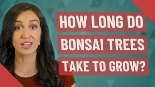 How long do bonsai trees take to grow?