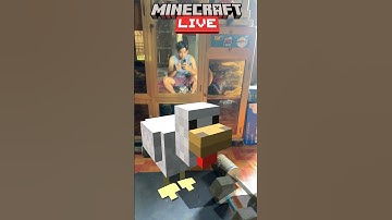 Minecraft Filter Game Challenge #ytshorts #minecraft #squidgamchallenge #filterchallenge