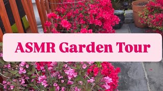 May Garden Tour | No Talking| ASMR