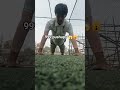Viral short 😱🙀.. #viral #trending #youtubeshorts #trendingshorts #cricket #pushups