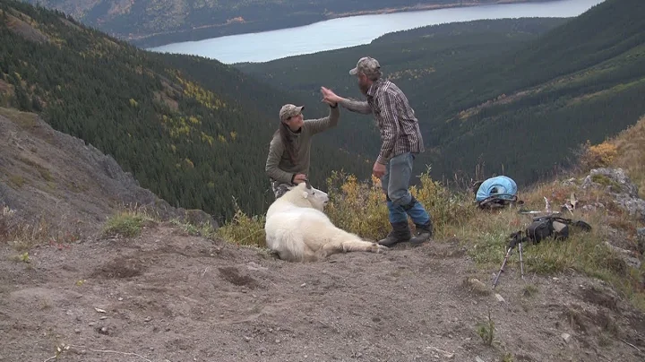British Columbia Goat Hunt