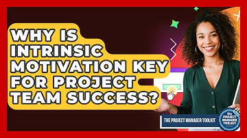Why Is Intrinsic Motivation Key For Project Team Success? - The Project Manager Toolkit