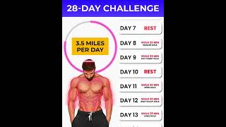 Step Counter - Healthy Steps