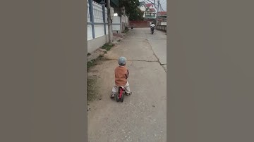 Tổng tài và chiếc xe cút kít của anh ấy