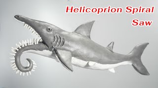 Making HelicoprionSpiral Saw with Clay | Helicoprion Shark Clay Sculpture Art with Plasticine