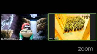 real talk cannabis podcast episode 18- pheno hunting