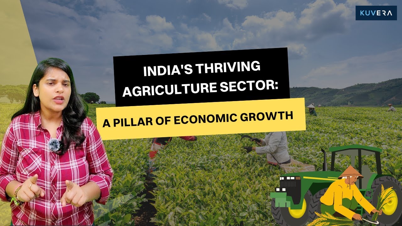 India's Thriving Agriculture Sector: A Pillar of Economic Growth - YouTube