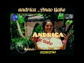 ANDRICA Tiako Anao Vidéo Lyrics Nouveauté Gasy 2026 YOU YES MUSIC 