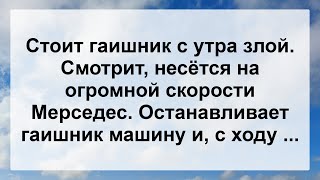 Злой Гаишник И Мерс! Анекдот Дня Для Настроения! Юмор! Смех! Позитив!