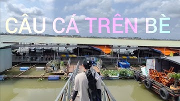 CÂU CÁ SÔNG | CÂU TÔM CÁ TRÊN BÈ  MÙA NƯỚC ĐỔ