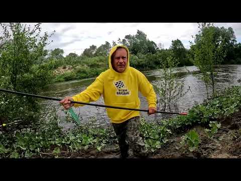Видео: Рыбалка на поплавок на речке 24 мая