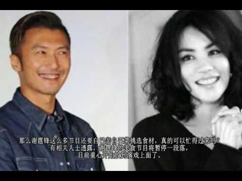 谢霆锋将重回大荧屏，只因为王菲不喜欢“伙夫”？网友：深井冰！