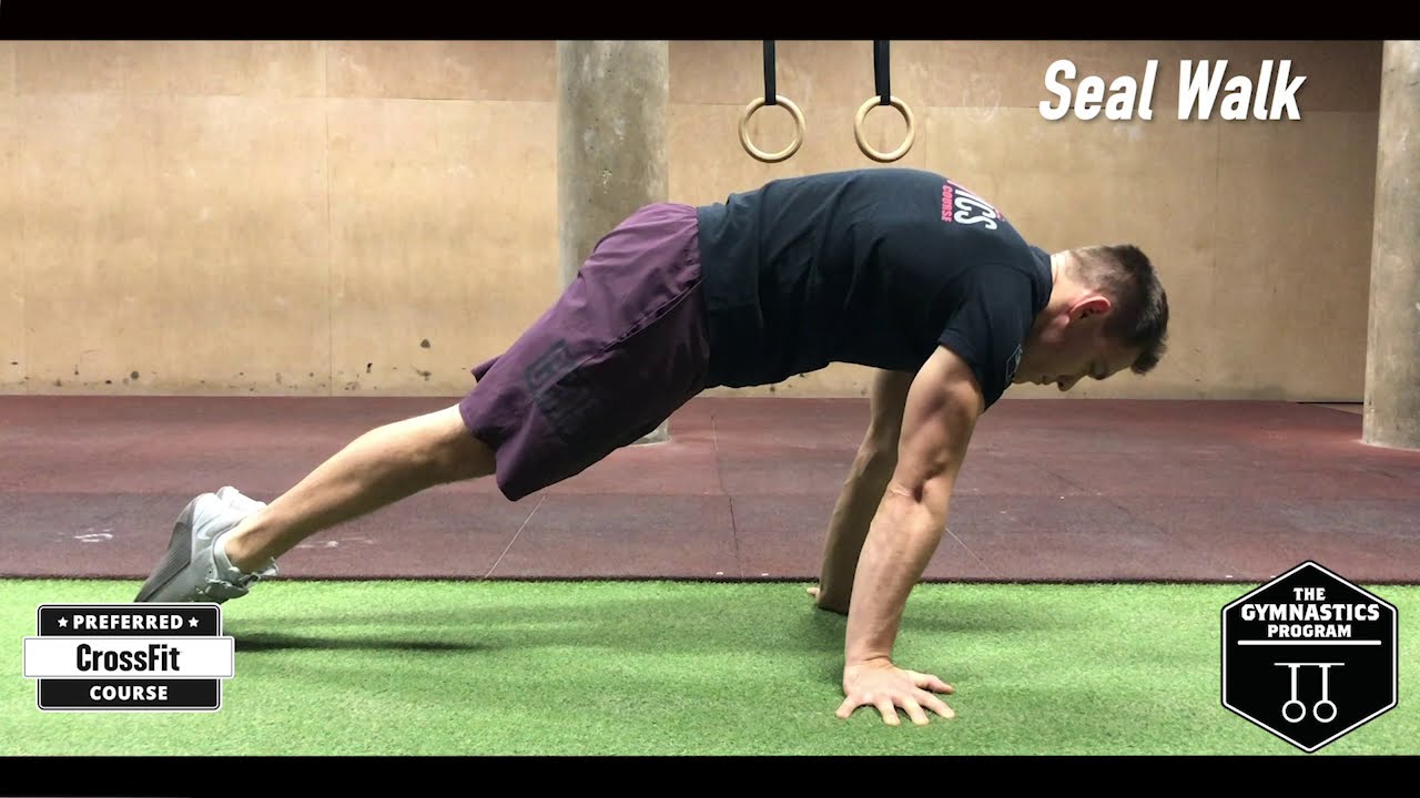 Seal Walk Gymnastics Programming YouTube