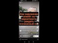 Как окружение влияет на вашу вероятность увидеть осознанный сон