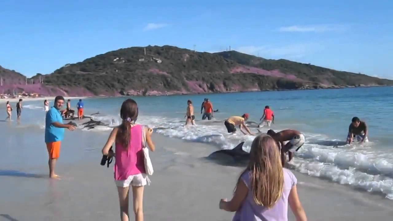 Он просто снимал море и пляж, как вдруг много акул выкинуло на пляж. эщкереееее