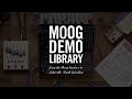 Moog Sound Studio: Subharmonicon & DFAM | With Yr Hips