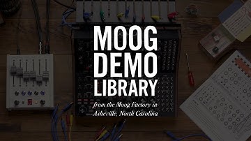 Moog Sound Studio: Subharmonicon & DFAM | With Yr Hips