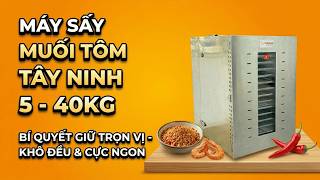 MÁY SẤY MUỐI TÔM TÂY NINH 5 - 40KG bí quyết giữ trọn vị khô đều và cực ngon