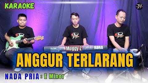 ANGGUR TERLARANG KARAOKE ( NADA PRIA )