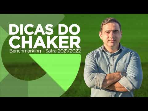 PECUÁRIA É REALMENTE MAIS SEGURA DO QUE AGRICULTURA?