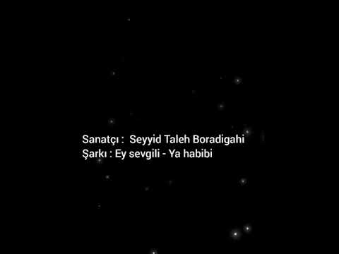 Seyyid Taleh Boradigahi Ey sevgili - Ya habibi (lyrics)