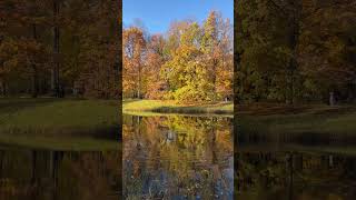 Чудесные осенние краски в Екатерининском парке🧡 #garden #nature #relaxing #autumn colors