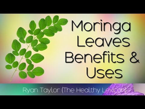 Moringa Leaves: Benefits and Uses (Drumstick Leaves)