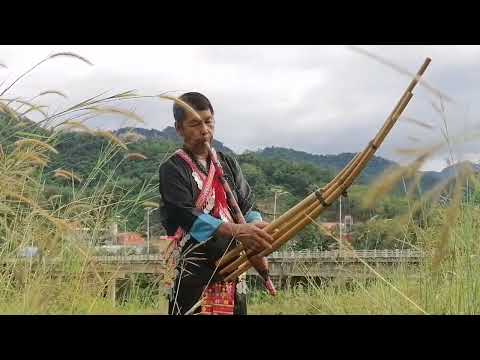 vam tshuas vang