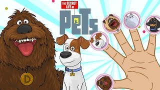 Pets Family Finger With Pets The Secret Life Of Nursery Rhymes Cartoons For Kids