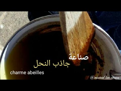 فيديو: أهداف سبيربنك: في الطريق إلى الحلم