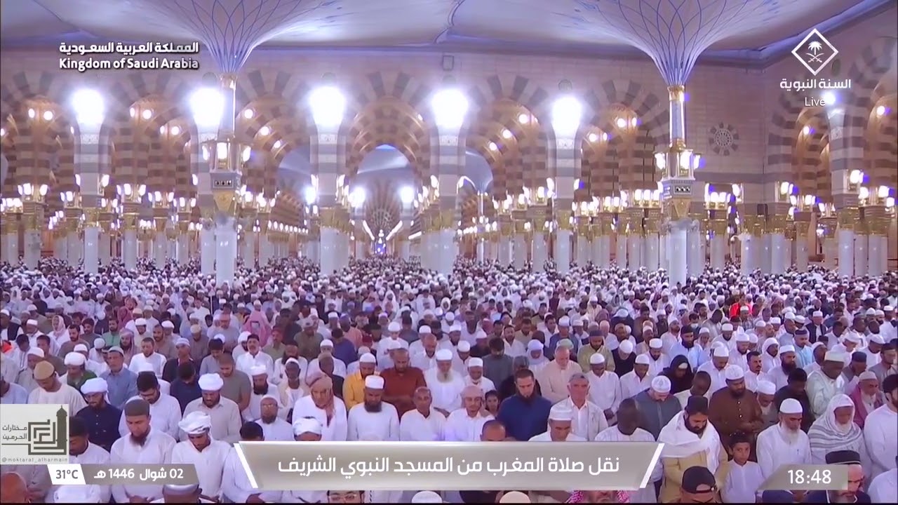 التحبير الشجي لتلاوات الشيخ محمد برهجي لشهر شوال ١٤٤٦ هـ