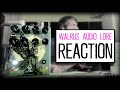 Walrus lore reaction funny  alfonso corace