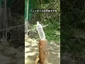 侍の弓の威力はどれほどだったのでしょう? #samurai #弓