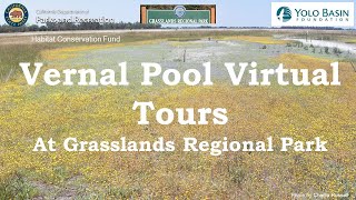 Vernal Pool Virtual Tour at Grasslands Regional Park 4-21-2021