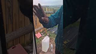 картинка: 00 хийх талаар