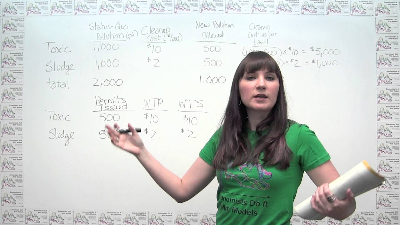 Microeconomics Practice Problem - Tradable Permits as a Remedy for